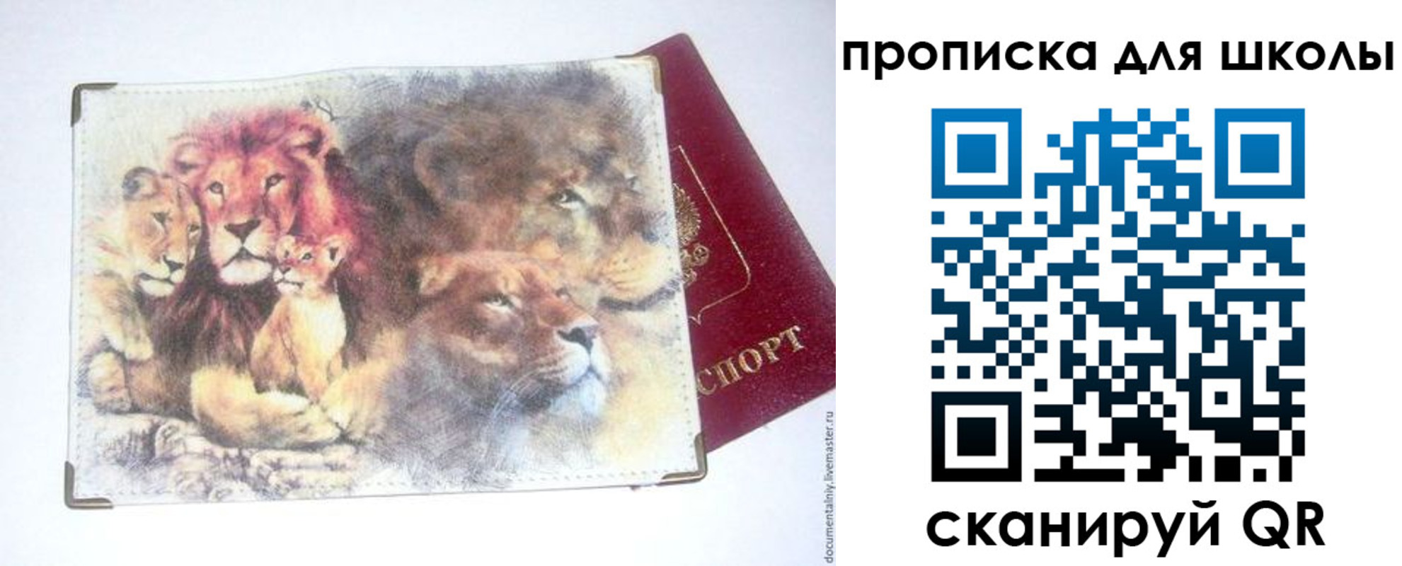 временная регистрация гарантия в Вязьме